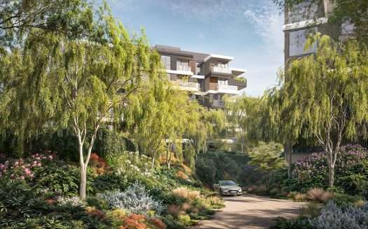 Serra – Ghaf Woods